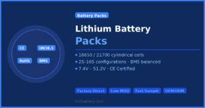 02_battery_packs 10000 11.1V 10000mAh LiPo Battery