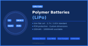 03_polymer_lipo 10000 11.1V 10000mAh LiPo Battery