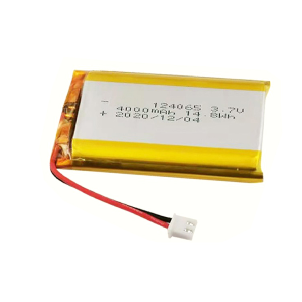 1764814011 124065 3.7V 4000mAh LiPo Battery
