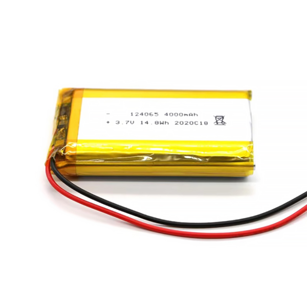 1764814064 124065 3.7V 4000mAh LiPo Battery