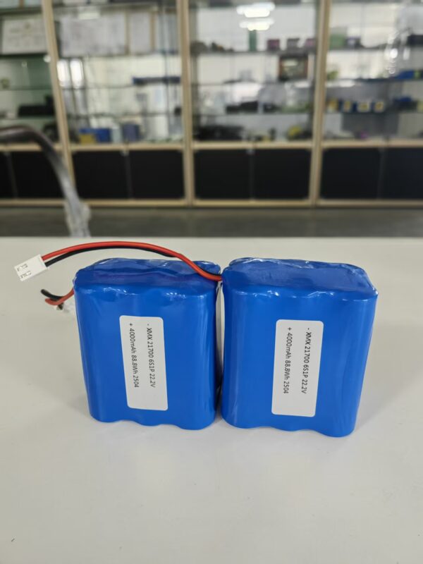 22.2V 4000mAh 6S1P 21700 Lithium Battery Pack for Drone & Robot 20A BMS Protection Rechargeable Li-ion Pack