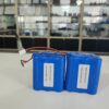 22.2V 4000mAh 6S1P 21700 Lithium Battery Pack for Drone & Robot 20A BMS Protection Rechargeable Li-ion Pack