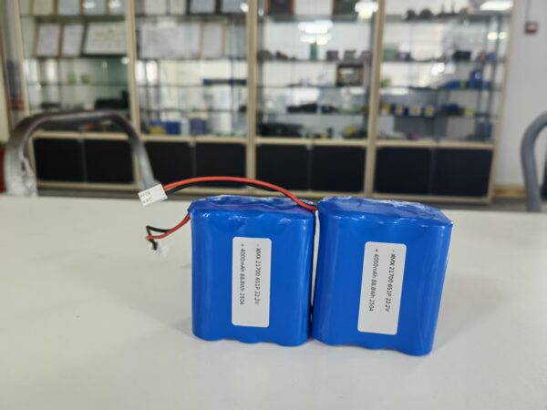 22.2V 4000mAh 6S1P 21700 Lithium Battery Pack for Drone & Robot 20A BMS Protection Rechargeable Li-ion Pack