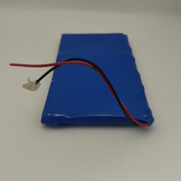 10000 11.1V 10000mAh LiPo Battery