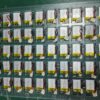 6 302530 3.7V 180mAh LiPo Battery