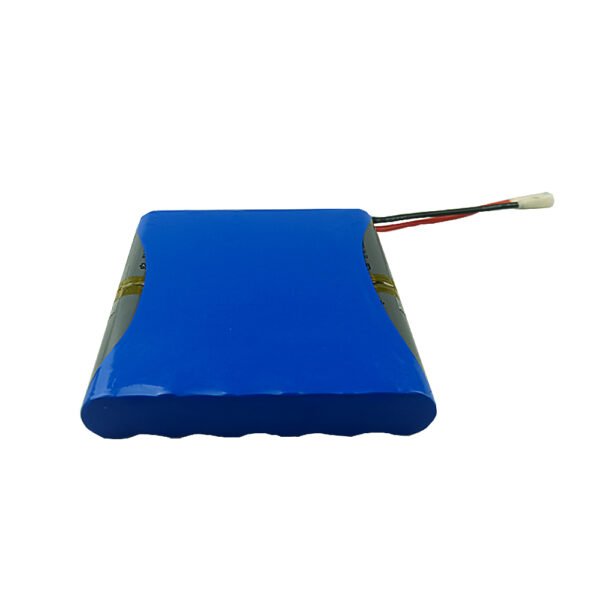 11.1V 19.2Ah NMC Li-ion Battery Pack 3S4P Rechargeable Pouch Battery
