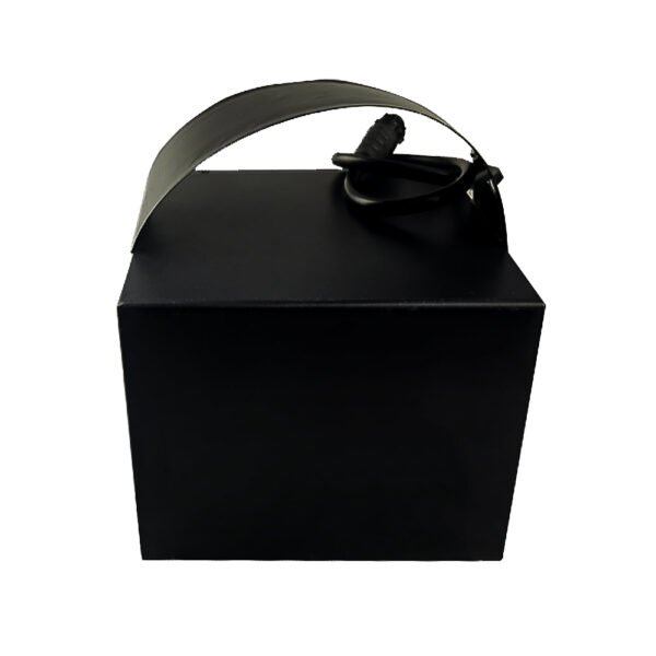 12.8V 38Ah LiFePO4 Battery Pack Rechargeable Lithium Battery with Balance Charging