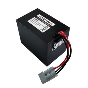 24V 100Ah LiFePO4 Battery Pack 8S1P Rechargeable Lithium Battery with RS485 Communication