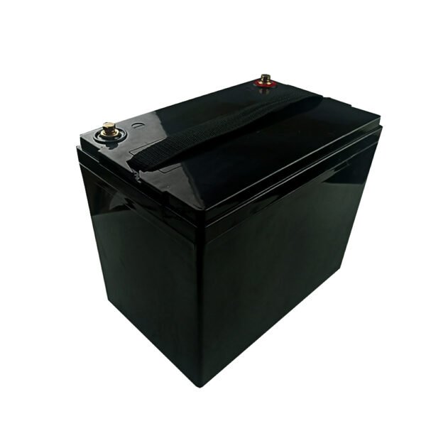 24v-50ah-lifepo4-battery-pack-8s1p (1) 24V 50Ah LiFePO4 1280Wh Battery - Rear Angle View Black ABS Housing with Carrying Handle