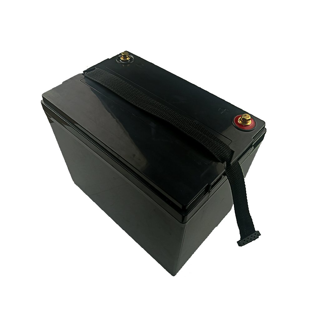 24V 50Ah LiFePO4 Battery Pack - Side Angle View Showing Reinforced Housing and BMS Cable Exit