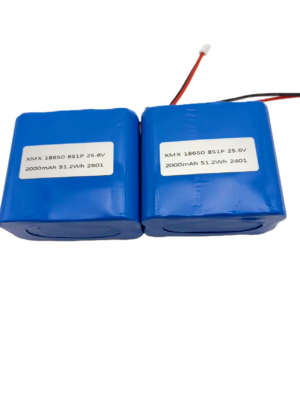 25.6V 2000mAh custom LiFePO4 battery pack, 18650 8S1P configuration