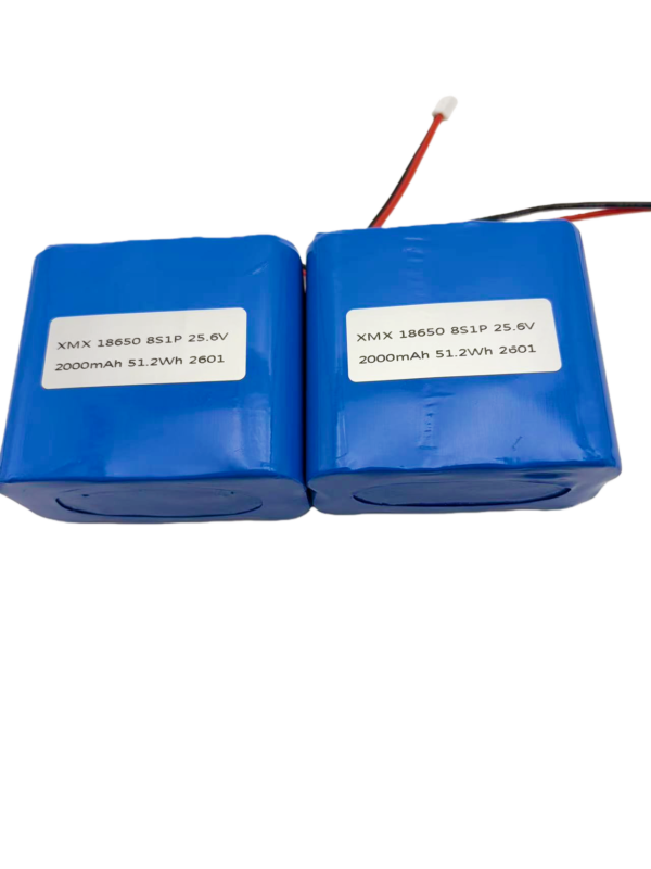 LFP18650 8S1P 25.6V BATTERY 25.6V 2000mAh custom LiFePO4 battery pack, 18650 8S1P configuration