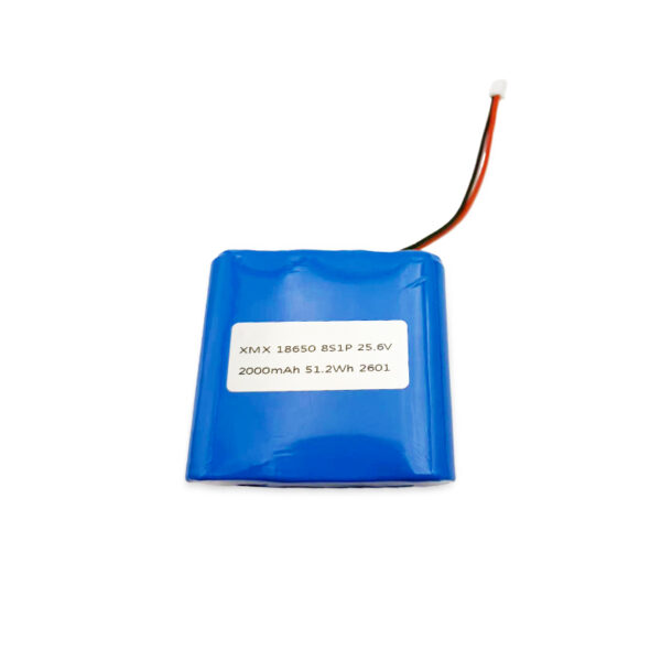 XMX 18650 8S1P 25.6V -PACK Product label showing 25.6V 2000mAh LiFePO4 battery specifications and certifications