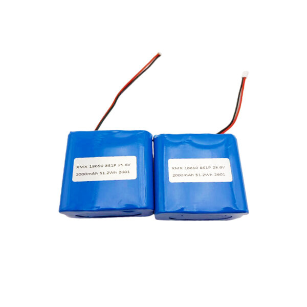 XMX 18650 8S1P 25.6V -PK 25.6V 2000mAh LiFePO4 battery pack with customizable connector and lead wires